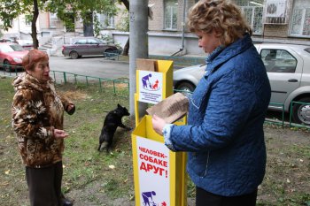 В Челябинске начинают оборудовать специализированные площадки для выгула собак 